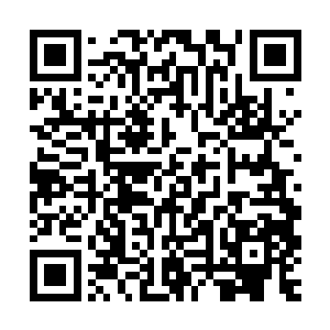 进而诞生了轮回谷这种能够是小世界衍变成真正世界的逆天存在二维码生成