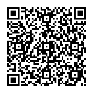 远古家族天才能够在极短的时间内领悟出和修为匹配甚至超出修为层次的圣域绝学二维码生成