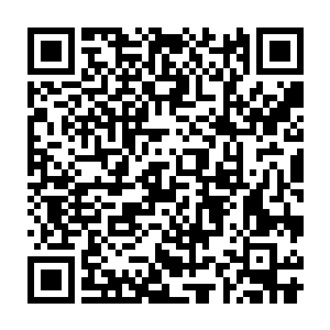 远在千里之外的与镇南王对峙的墨景黎也同样收到了璃城传来的消息二维码生成