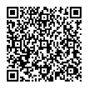 远在轩辕之丘的监国太子轩辕长缨直接在朝会上下令廷尉府彻查当初的大荒门覆灭的案子二维码生成