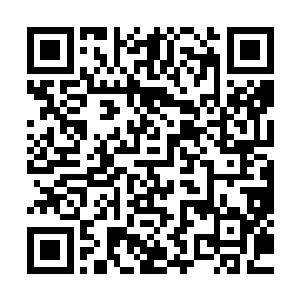 远处庞大的灵力波动伴随着修神期修士的威压与神识释放过来二维码生成