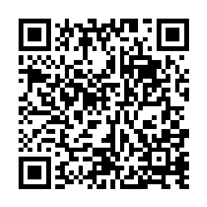 远处的几个黑衣杀手重新捡起了几把地上和车上的飞斧二维码生成