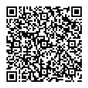 远处窝在密林中忐忑不安的黑仔突然发现周围的树木又开始发出那种纯净无比自己吸收不了的本源木之气息二维码生成