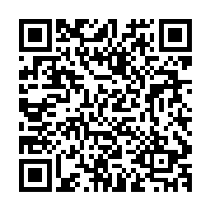 远离五位老者的廖霭看到这两位朝着轮回殿殿主冲过去的时候二维码生成