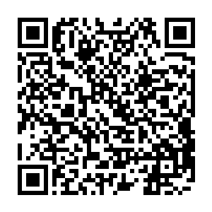 远远不是秦方现在可以抗衡的……哪怕是他手上依然保留了不少六阳灵丹二维码生成