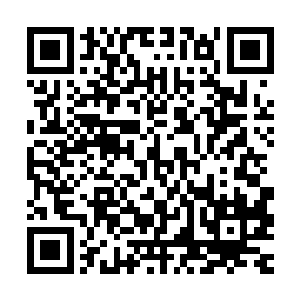 连太古焚龙指和焚龙守护这些太古焚龙一族的传承绝学也能施展二维码生成