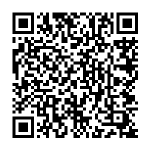 连嫡出掌握卢氏大权的卢道林卢玄朗两人都要重视这位庶出弟弟的意见二维码生成