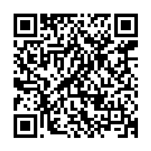 连成家这样的家族都已经在用魔化的中药材悄悄荼毒着太夏百姓二维码生成