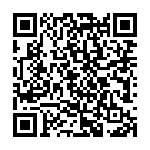 连我们学校诗歌专业的教授你都打算请到沙龙上去二维码生成