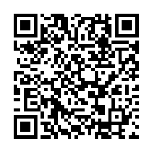 连我们耗尽全部计算力都推演不出千万人的心理变化二维码生成