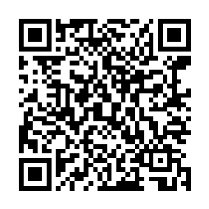 连我们风黄界的口头禅你都会……你到底杀了我们多少人啊二维码生成