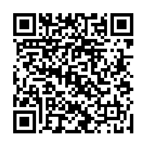 连我都以为你是不是第一次参加这种会议太过紧张了呢二维码生成