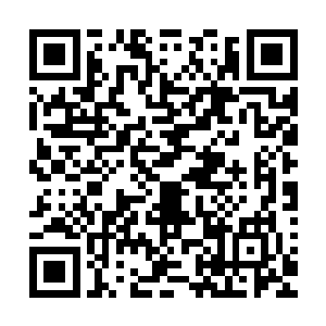 连手背上小时候被尖锐石头划伤的疤痕大小和位置都十分准确二维码生成