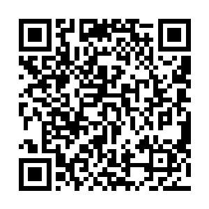 连朝姐儿都要煽动了去找她的麻烦……宋姨娘帮你管内院二维码生成