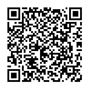 连王母娘娘蟠桃园里的第一代子树上结的蟠桃都能随便每人扔一个尝尝鲜二维码生成