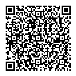 连秦方都被神殿执事这样可怕的意志力惊呆了的……居然可以硬生生的扛下了这一拳全部的力量二维码生成