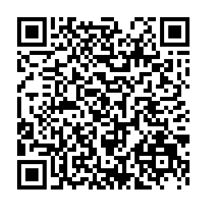 连素来作风冷硬严谨的环亚娱乐资讯的负责人也忍不住打起了拍子二维码生成