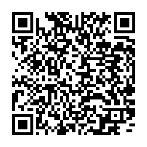 连续双更第十四天累死瘫倒大家快来表扬我哈哈哈哈据说不用标点逼格更高二维码生成