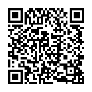 连续服用两枚金色果实的紫秧兽已经成了一个恐怖的存在二维码生成