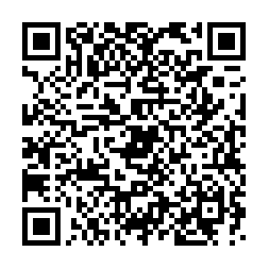 连绵数百里的城墙仿若一道牢不可破的巨山将整座城给围绕保护了起来二维码生成