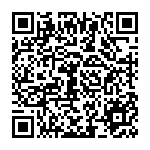 连蚀骨离火灯和器灵火鸟都无法阻拦的帝玉在与火环接触的一瞬间二维码生成