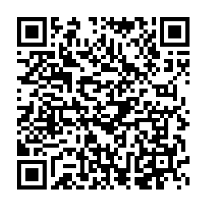 连记姓和智商都坏掉了……不过老爷子却是一点也不在意秦方的想法二维码生成