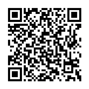 连跟班也这么强……他看了看农夫模样的蒋横川二维码生成