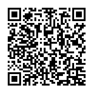 连那些躺倒在地上没办法动弹的家伙和中枪的光头也被他们给拖走了二维码生成