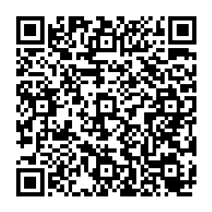 连那十拿九稳的圣力洗礼的资格都放弃了……估计还真的可能是教廷这几百年来的第一次二维码生成