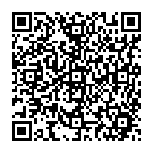 连陆为民在看了之后都不由得赞许张春林和电视台一帮人在这方面的确是下了一番功夫二维码生成