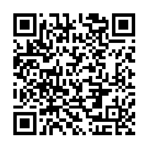 迪卡指着面前的一具已经几乎风干的巨大的虫子模样的尸体二维码生成