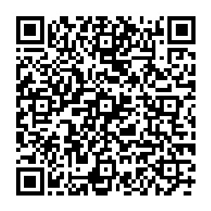 迪卡普里奥两位新人的参战――前者是收获最佳男主角和最佳原创剧本提名的强势新人二维码生成