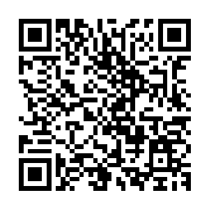 迪戈在旁边指导一边吹着牛一边时不时的还普及一下船上的仪表二维码生成