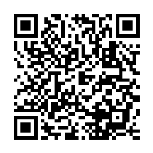 迹部恍然大悟……为什么他那三位损友总是不和他一起排剧本二维码生成
