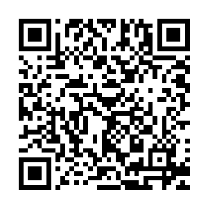 追击在张铁身后那些张牙舞爪的诸神战偶的动作瞬间一滞……二维码生成