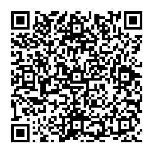 逃的慢的弟子 顿时被气浪吞噬 尸骨无存 这一幕 落在一些侥幸活下來的修士眼中 却是惊恐万分二维码生成