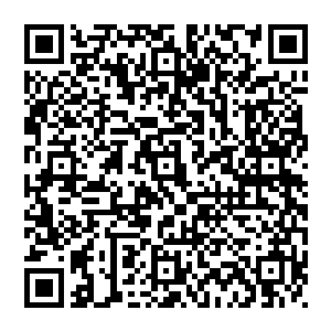 选择一些从事过各方面政治经济实质性的工作干部加入外交队伍从事外交主导型主动性的工作也许会更有创造性二维码生成