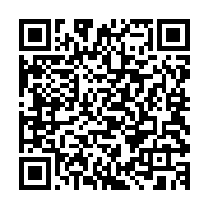 选择在这么一场重要的比赛中信任荣光的头……这确实是赌博二维码生成