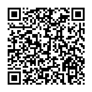 透过指缝下依稀可见额头上似纵一般的皱纹……音棋不忍的撇了目光二维码生成