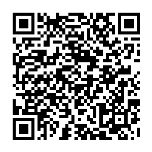 逐个的跟李谦和秦诺讲解这座放映厅到底是在什么地方进行了什么技术升级二维码生成