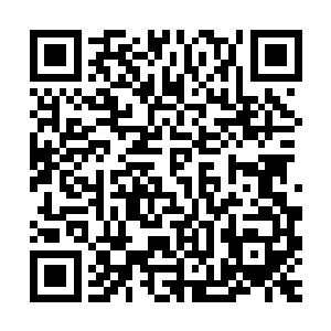 通关后技巧值加成的经验和游戏币都是团队生存模式的标准……二维码生成