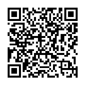 通往他们刚才占据的狙击阵地的楼道里立刻响起了爆炸声二维码生成