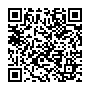 通讯编码就用我们在野狼山谷试炼时的通用编码就好二维码生成