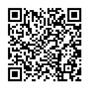通过了这场战斗虽然他们给予了敌人极大的打击但是从中也暴二维码生成