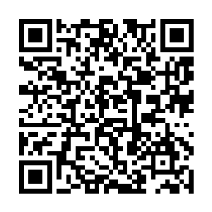 通过瞬间大量的能量粒子流传输破坏意识海结构……二维码生成