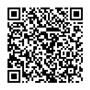 通过神子的血脉与力量唤醒伪神……这一计划还得到了其它伪神的支持二维码生成
