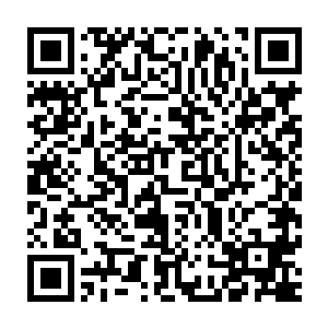 通过种种手段在那小世界内发现了一株已经成长起来的不朽天罗树二维码生成