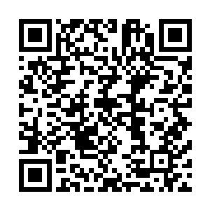 通过这种方式就可以在不耽误自身修炼的同时掌握大量法术二维码生成