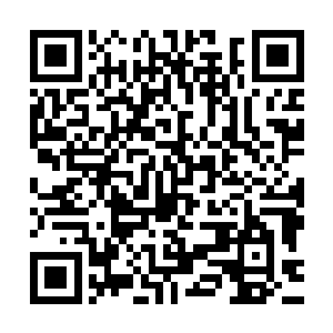 逼穆卡迪奥不得不硬挡这20000多枚核弹以及无数武器的集火轰击二维码生成