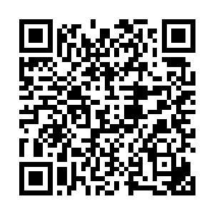 逼迫楚皇签订停战协议的一幕仿佛还停留在众人的眼前二维码生成
